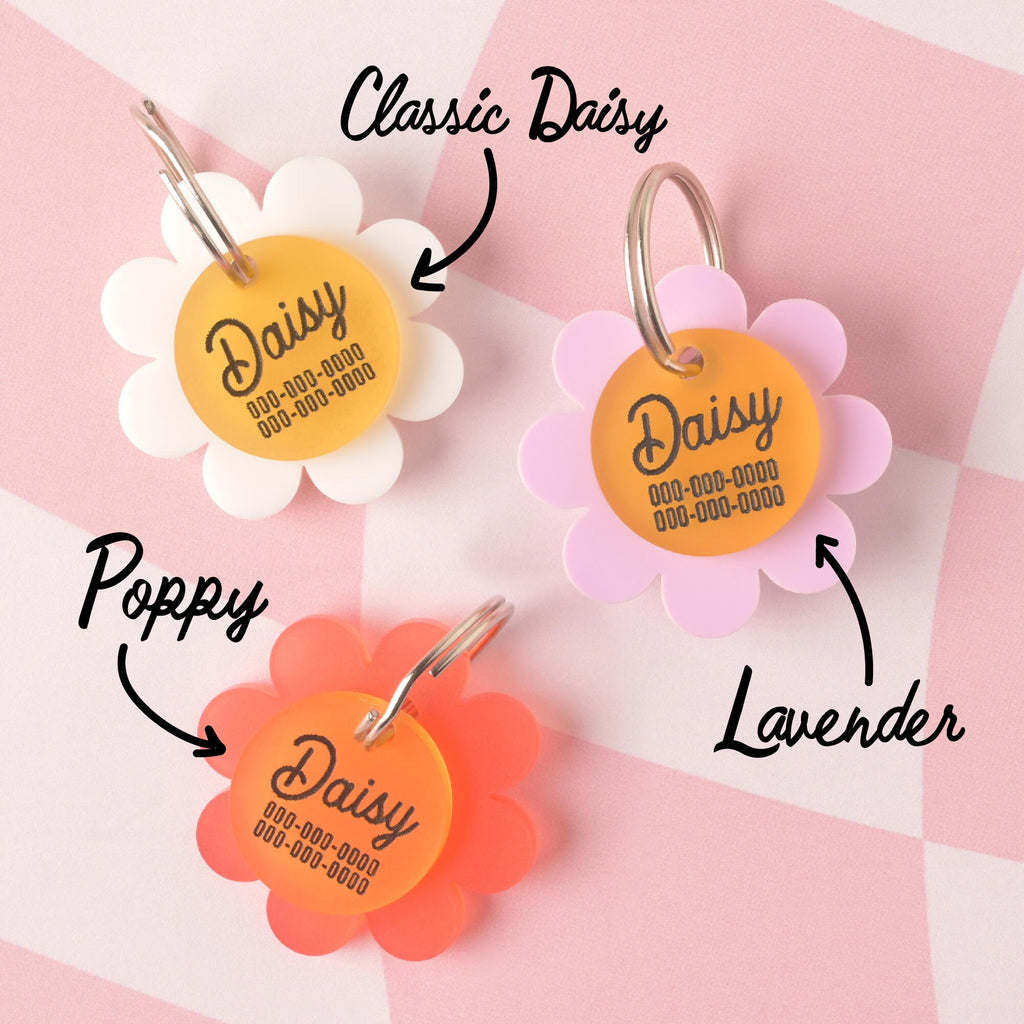 Top-down view of three flower-shaped pet ID tags labeled Classic Daisy, Lavender, and Poppy, each featuring a yellow center engraved with the name "Daisy" and placeholder phone numbers, on a pink checkered background
