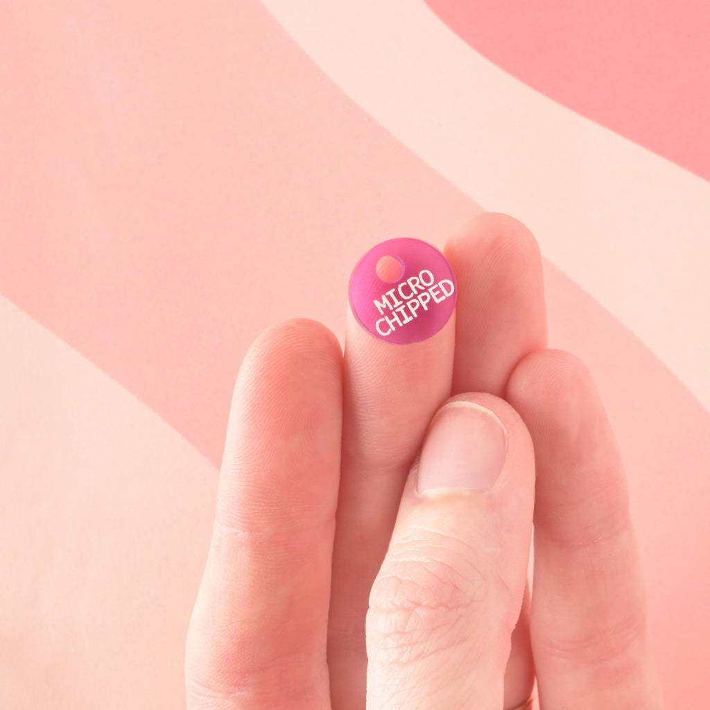 A small, circular acrylic charm in vibrant hot pink engraved with "MICROCHIPPED" in white text. The tiny charm is held up on the tip of a finger to show scale.