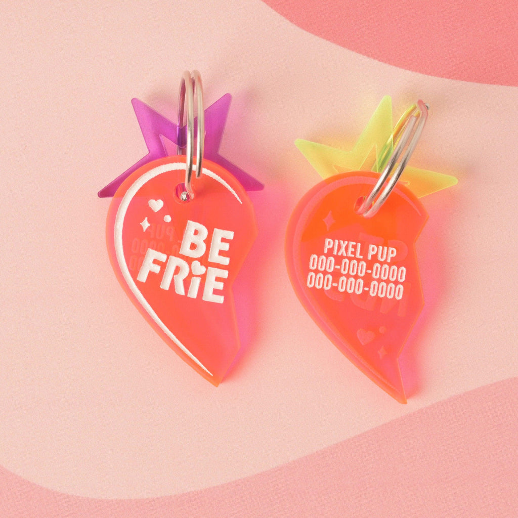 Best Friends Personalized Pet Tag, Set of 2, Collar Tag or Keychain, Cat or Dog ID Tag, 90s Style, pair of tags for BFF Dogs, or Human & Pet