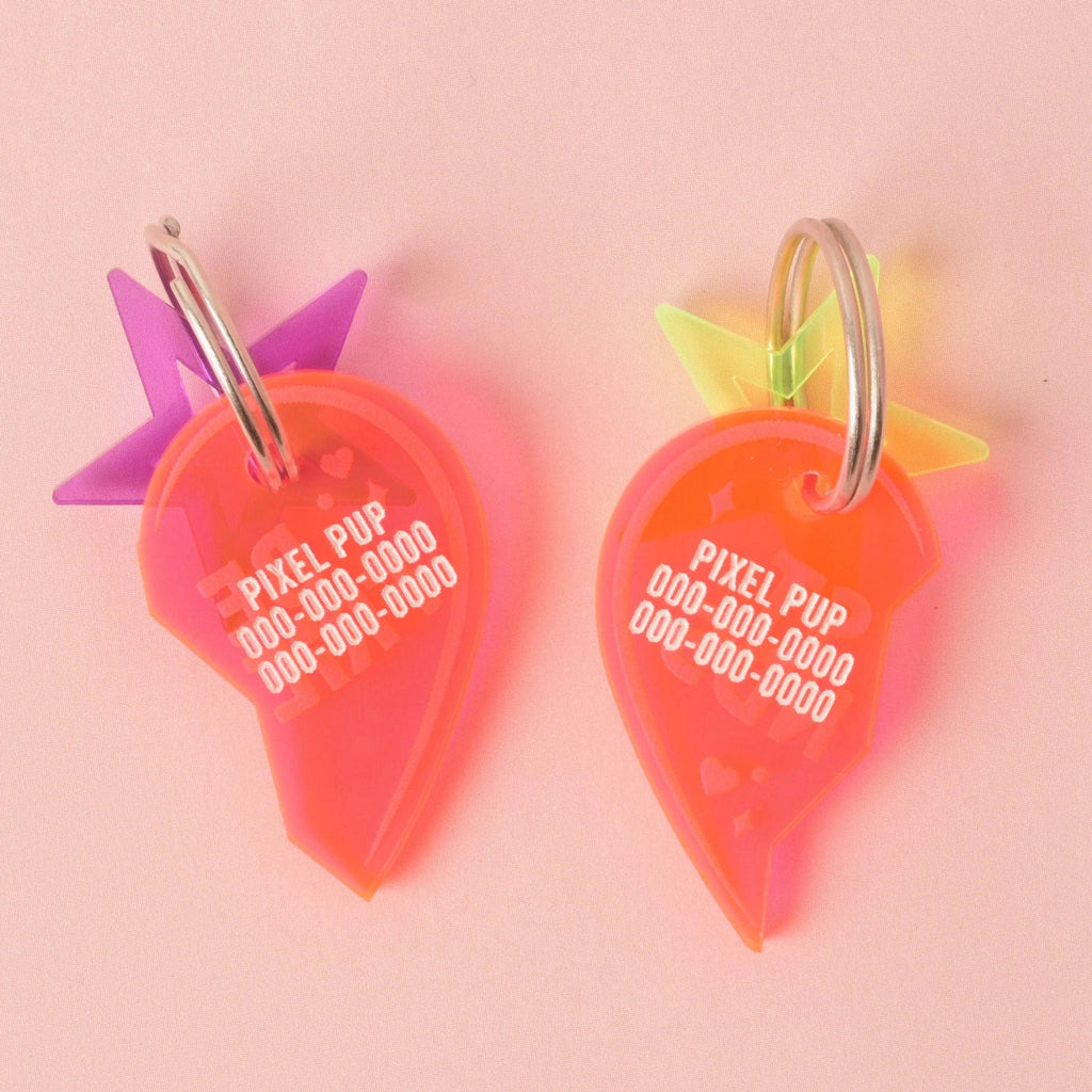 Best Friends Personalized Pet Tag, Set of 2, Collar Tag or Keychain, Cat or Dog ID Tag, 90s Style, pair of tags for BFF Dogs, or Human & Pet