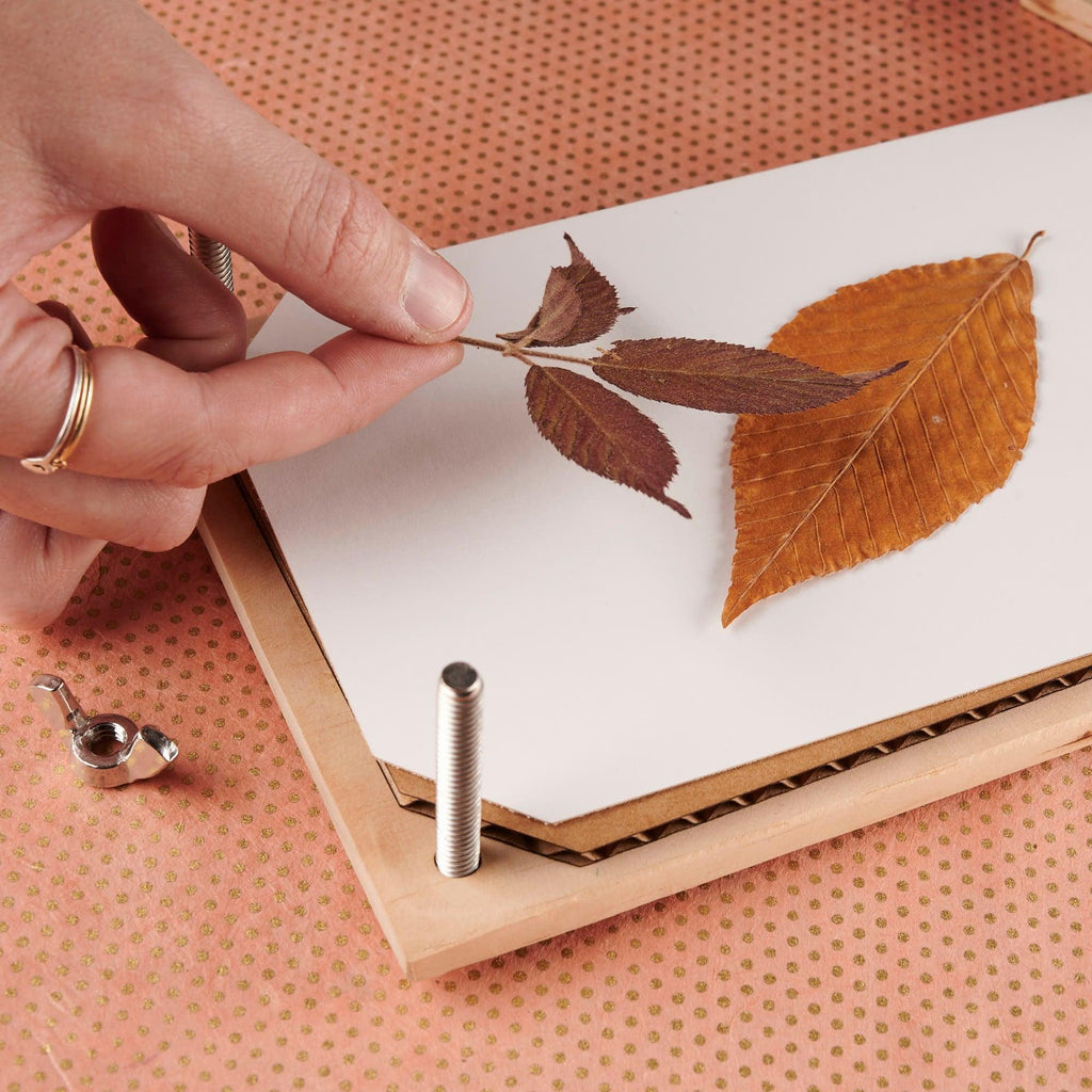 Botanical Heirloom Flower Press Kit - emandmestudio