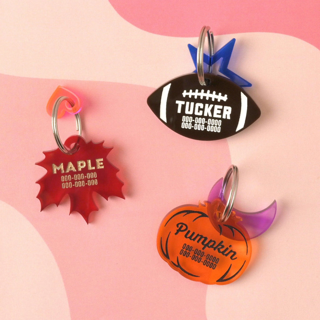 Football Personalized Pet tag, Cat or Dog ID Tag, Game time, Fall, autumn, college football, NFL
