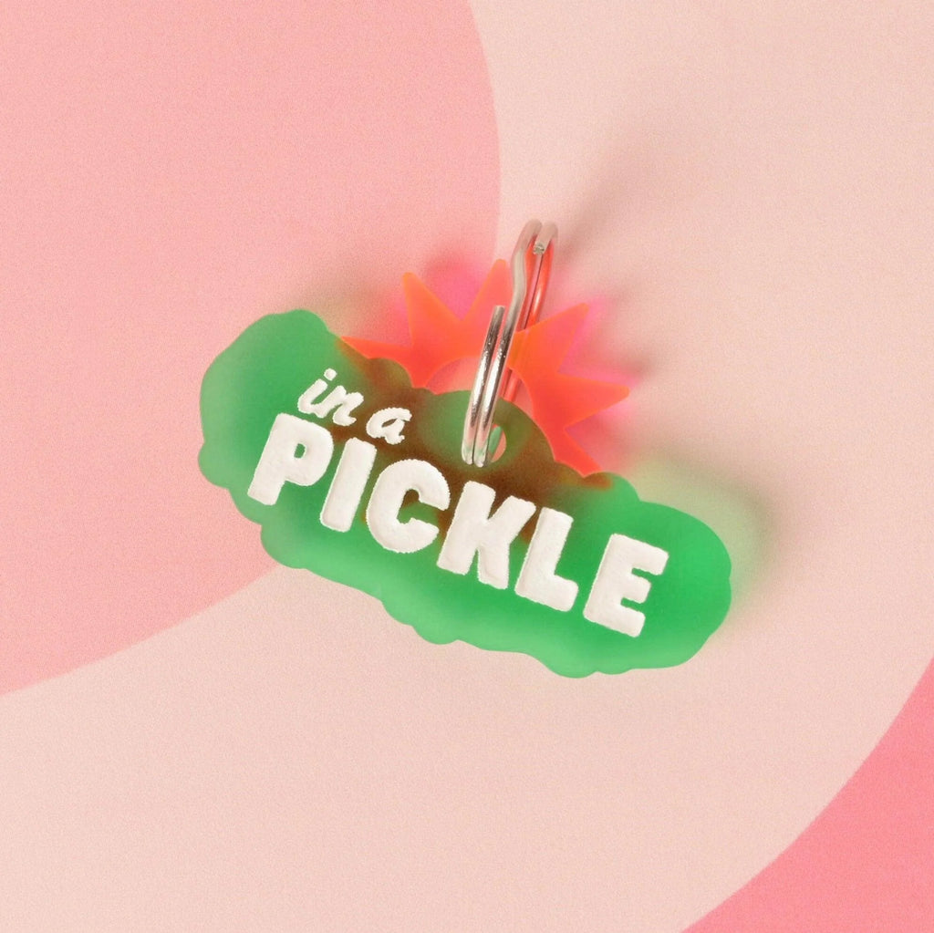 In a Pickle, Pickle Personalized Pet Tag, for vegetable loving Pets, ID for Cats and Dogs