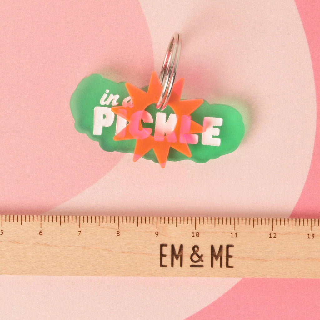 In a Pickle, Pickle Personalized Pet Tag, for vegetable loving Pets, ID for Cats and Dogs