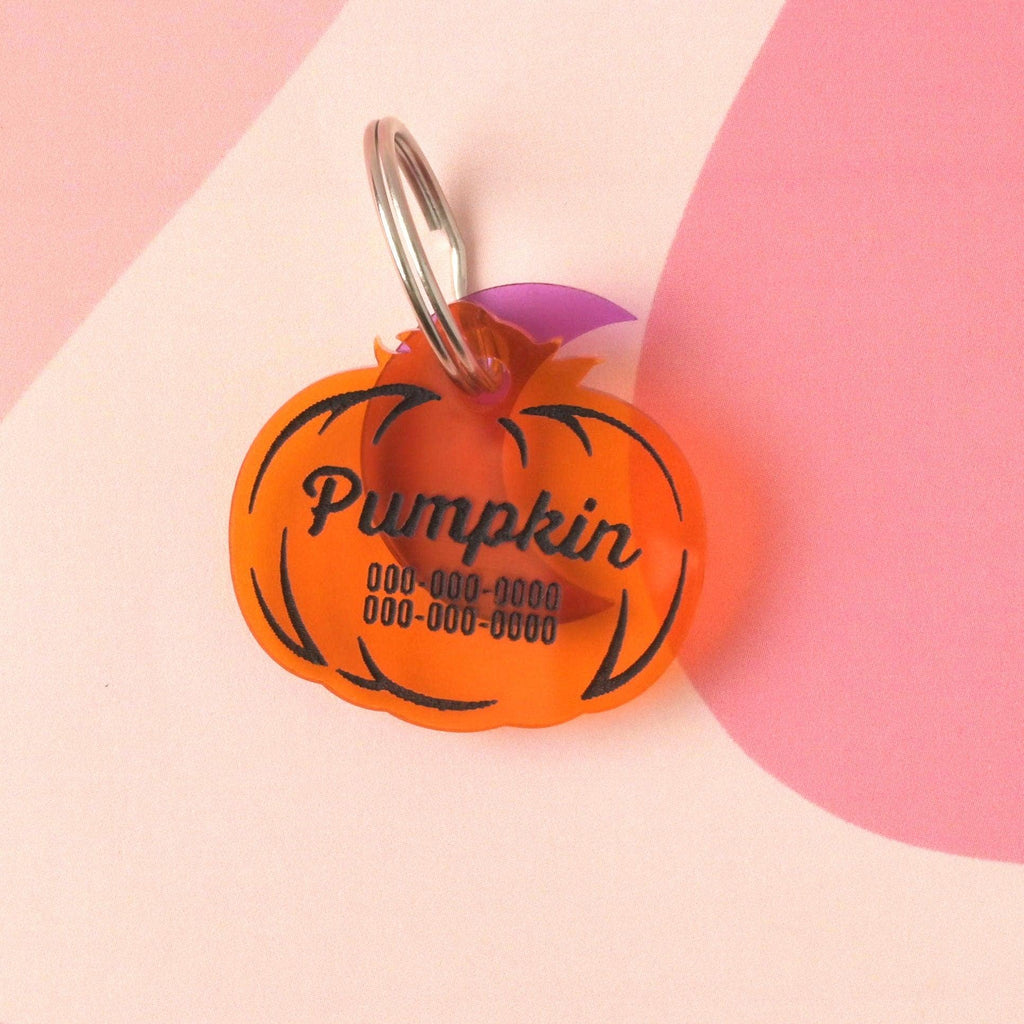 Pumpkin Personalized Pet tag, Cat or Dog ID Tag, Fall, autumn, Thanksgiving