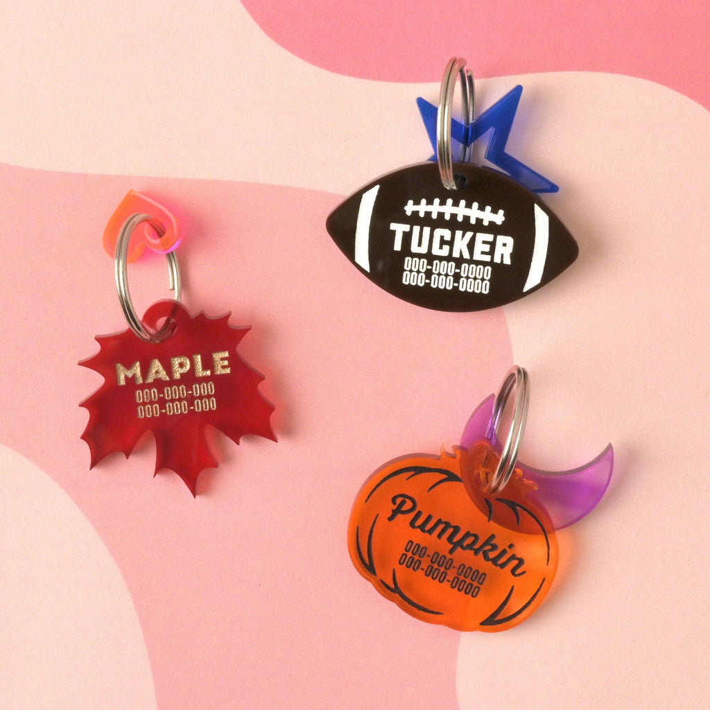 Pumpkin Personalized Pet tag, Cat or Dog ID Tag, Fall, autumn, Thanksgiving