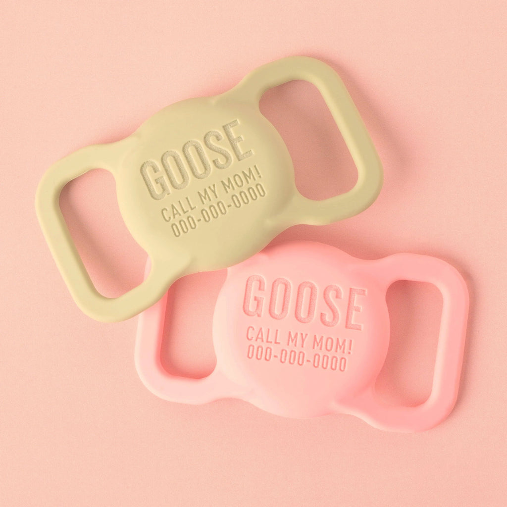 Slide-on Personalized Pet Tag, AirTag case - emandmestudio