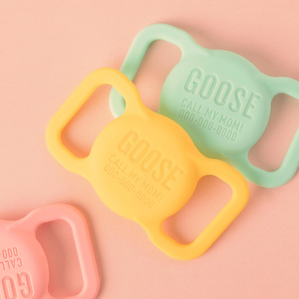 Slide-on Personalized Pet Tag, AirTag case - emandmestudio