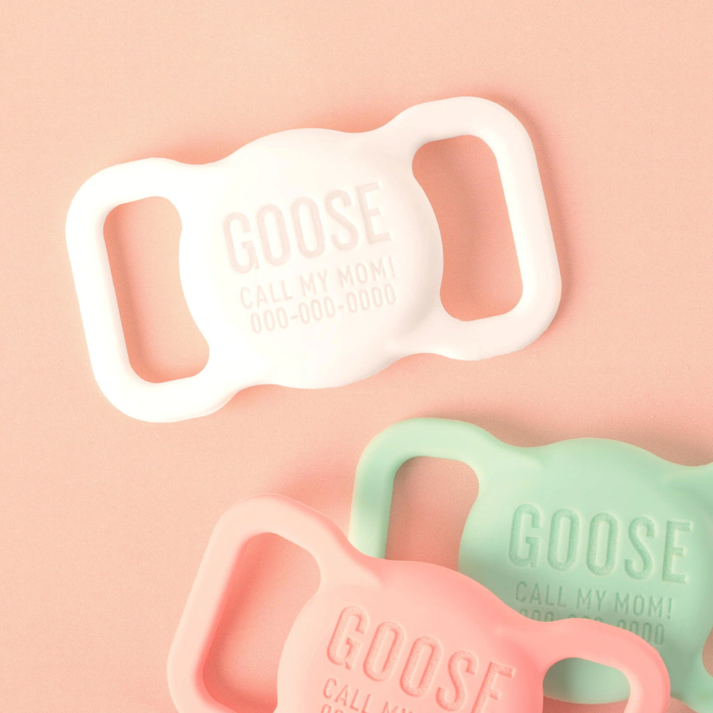 Slide-on Personalized Pet Tag, AirTag case - emandmestudio