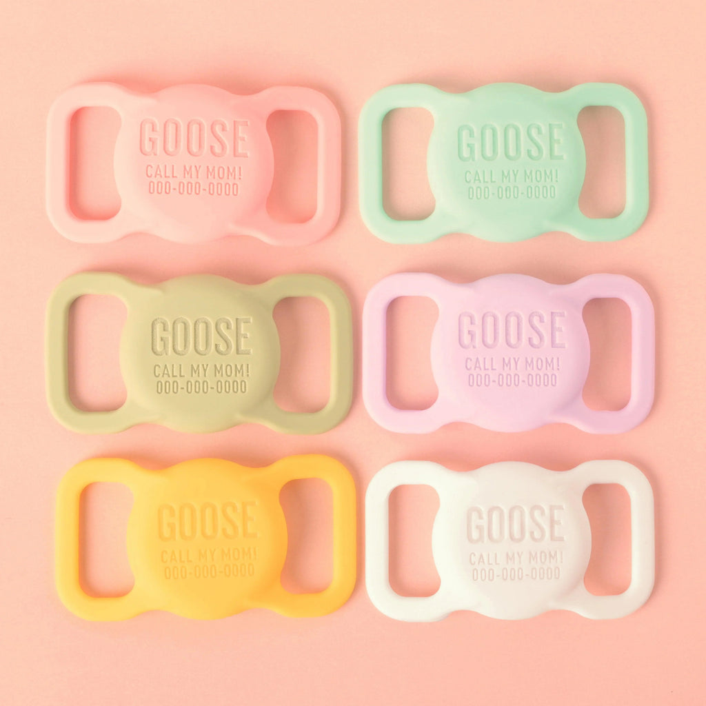Slide-on Personalized Pet Tag, AirTag case - emandmestudio
