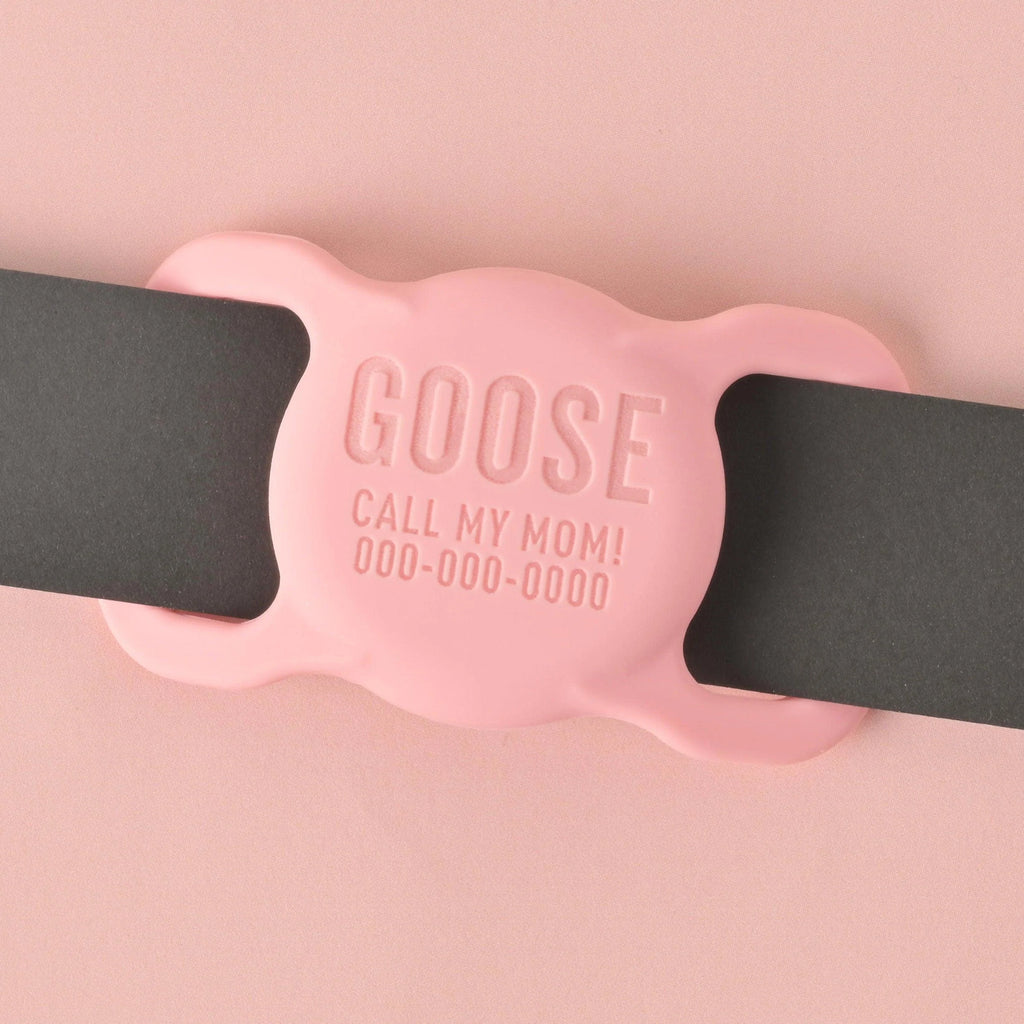 Personalized Slide-on GPS Pet Tag, Silicone AirTag Case for Dogs and Cat Collar, custom ID Tag Collar, dangle free pet ID